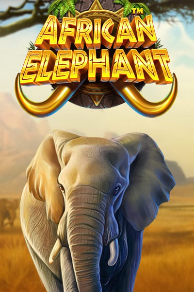 African Elephant